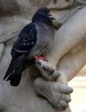 toe-hold*