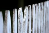 10th<br>Picket Fence *<br>by elips