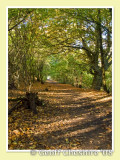 Sankey Valley Walk, St. Helens