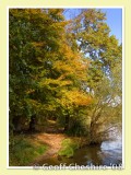Autumn colours at Carr Mill