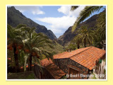 Masca (4)