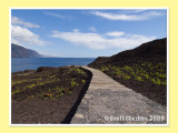 Teno walkway (3)
