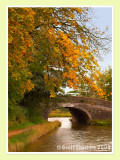 Autumn colours at Garstang