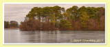 Trees reflected in the frozen lake : Talkin Tarn (HDR)