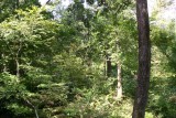Ravines