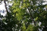 Ravines