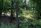 Woodland Trails