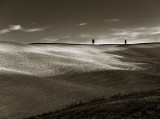 Val d'Orcia 10