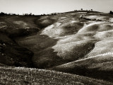 Val d'Orcia 11