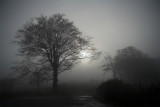 04-11-08 misty