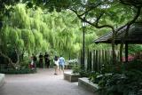 botanic gardens, national orchid garden