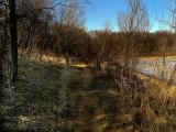 January Thaw