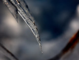 Ice 2