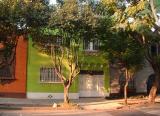 Casas Pintadas,  Colonia Roma