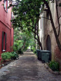 Lots of pretty alleys in Charleston