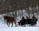 one horse open sleigh