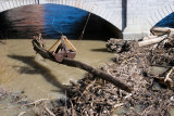 river 8