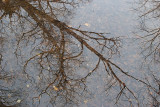 water I