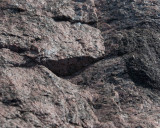 earth I