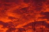 Christmas Sunrise 2