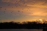 sunset 3