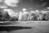 Fall Colors in Infrared