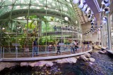 Rainforests Dome