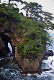 Cove
