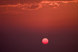 Pacific Sunrise
