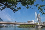 Kawasaki Bridge</br><big>川崎橋</big>
