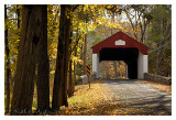 Autumn Along Cabin Run