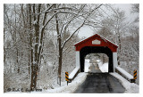 Winter Along Van Sant Road