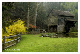 Spring at Bromley Mill