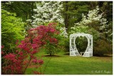 Wedding Arbor in May