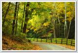 *** Autumn Along Cutalossa (over 690)