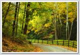 ***  Autumn Along Cutalossa (over 690)