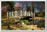 Spring Light at the Pond Bridge