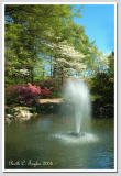 Fountain in May