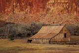 Fruita, Capitol Reef National Park 5207