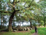 Approaching a dolmen