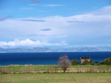 House with a view