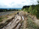 Muddy cart track