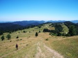 Plateau de Languerail