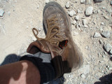 Butterfly inspecting boot