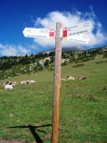 Signpost