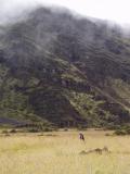 Grassy plain in the crater