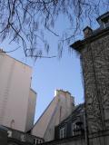 Rue de Seine Rooftops