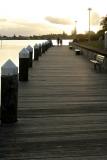 Boardwalk in Forster, NSW.