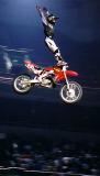 Freestyle motoX, Telstra Superdome