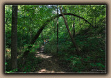 Natural Arch